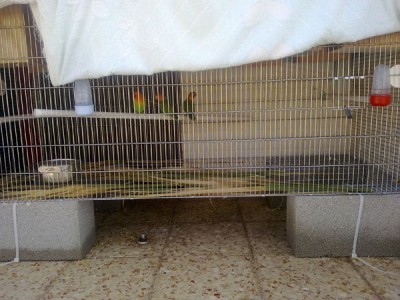 30042009215.jpg