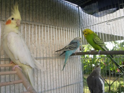 שיחה בין שכנים :)